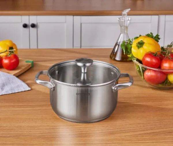 Karaca Elite roestvrijstalen inductie kookpot met deksel, 20 cm, zilver