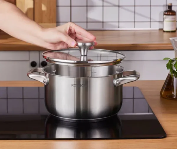 Karaca Elite roestvrijstalen inductie kookpot met deksel, 24 cm, zilver
