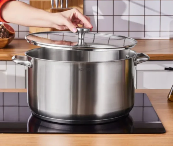 Karaca Elite roestvrijstalen inductie kookpot met deksel, 34 cm, zilver