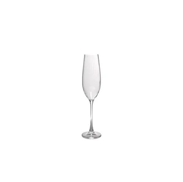 S&P Champagneglas 29cl Saga - set/4