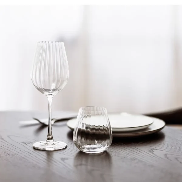 S&P Wijnglas 55cl Saga - set/4