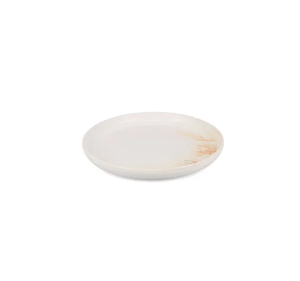 S&P Plat bord 21,5xH2cm desert Aquarel